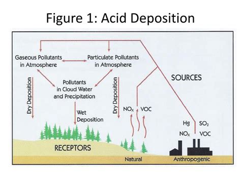 PPT - Investigation of Acid Deposition Trends in the United States PowerPoint Presentation - ID ...