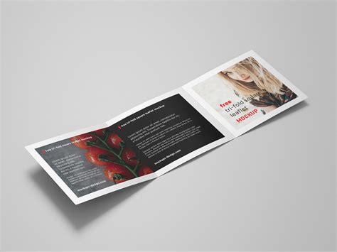 Square Tri-Fold Brochure Mockup PSD — Free Mockup World