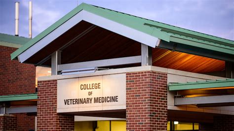 39 NC State Veterinary Medicine Students Receive 2021-22 Annable Scholarships | Veterinary ...