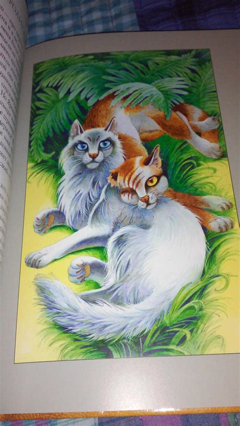Chinese Warrior Cats Books? | Warrior Cats Forums