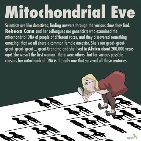 Is That You, Grandma? (Discovering Mitochondrial Eve) | Copalette | Mitochondrial eve, Discover ...