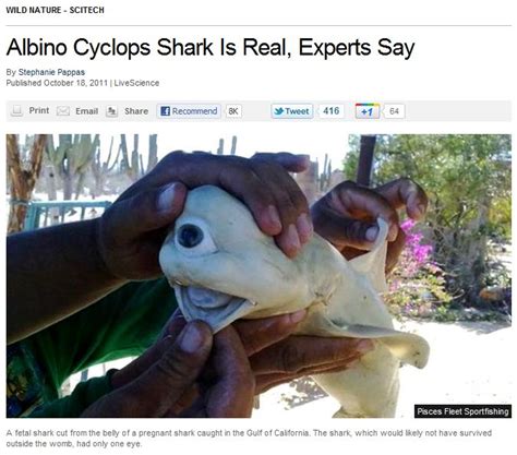 Albino Cyclops Shark – supposedly real – natemichals.com