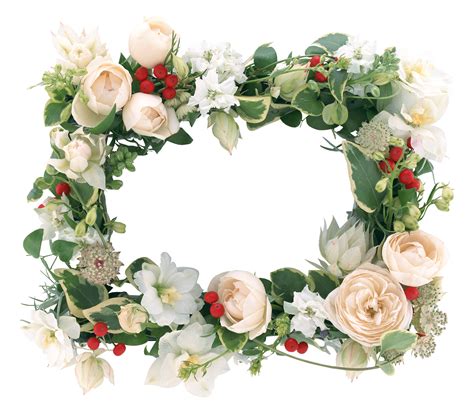 Floral frame PNG