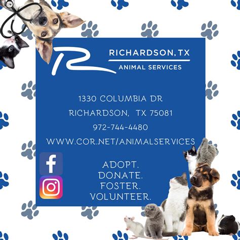 Richardson Animal Shelter | Richardson TX