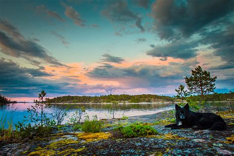 Why is Ladoga considered Russia’s most extraordinary lake? - Russia Beyond