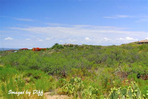 Oracle Arizona