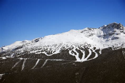 Ski trails on mountain. stock photo. Image of horizontal - 2037672