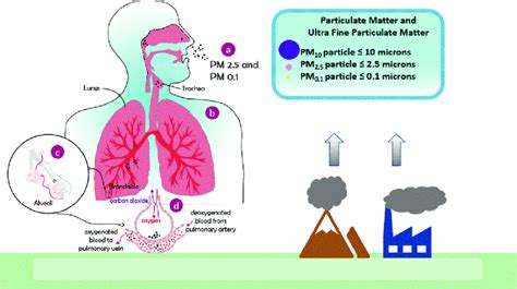 Particulate matter sources vary from a wide range of both human and ...