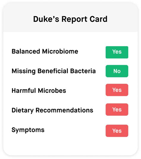 Embark Dog Gut Health & Microbiome Testing Kit – Embark Vet