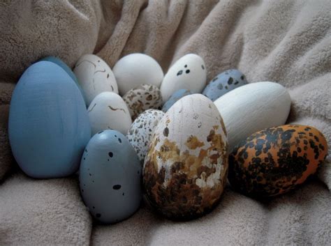 Marvelously Messy : Wild Bird Eggs - Great Eggspectations