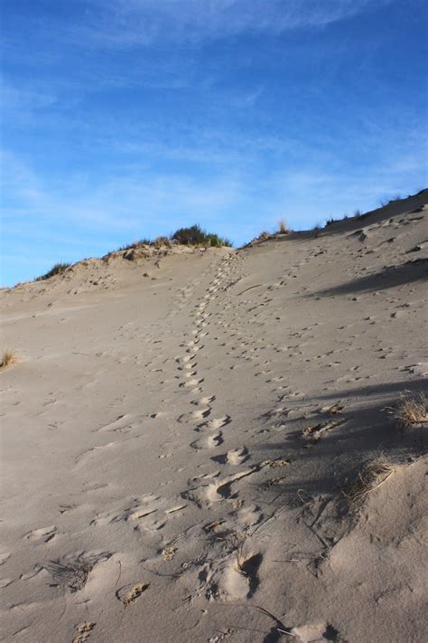 Richard Hikes: Oregon Dunes