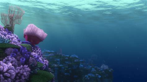 Finding Nemo Wallpapers on WallpaperDog