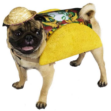 Dog Pug Costume | PETSIDI