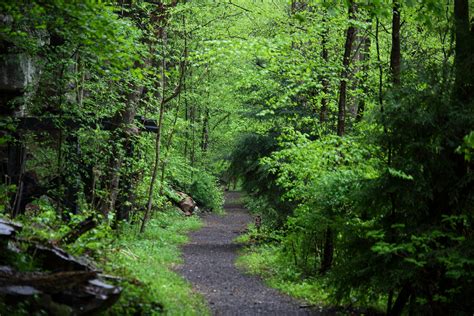 File:Hawks-nest-hiking-trail - West Virginia - ForestWander.jpg