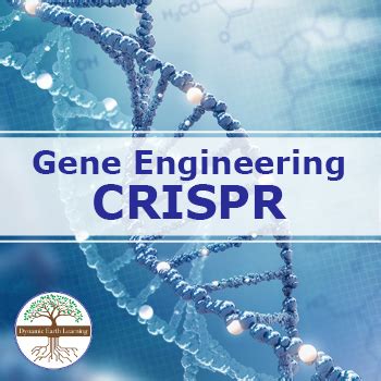 Gene Engineering CRISPR Controversy| Video, Handout, and Worksheet