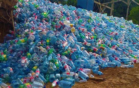 How Bad are Plastic Water Bottles for Your Health, Really?