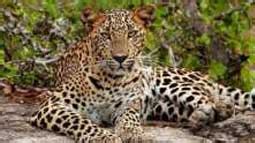 Best Punjab Wildlife Sanctuaries & National Parks