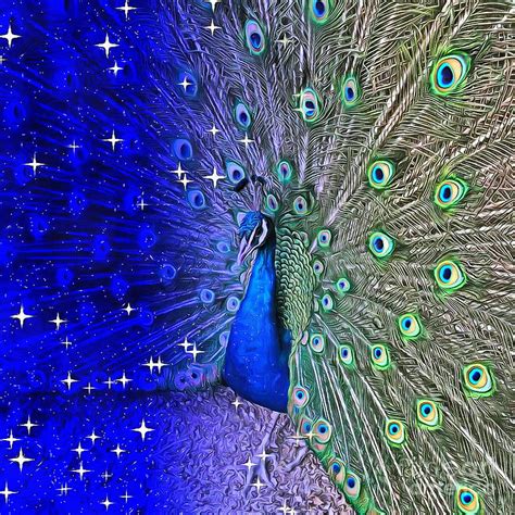 Peacock of The Night Digital Art by Yorgos Daskalakis - Pixels