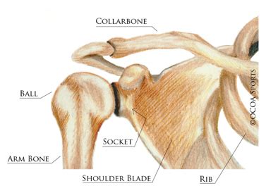 Articles and Publications | SLAP Tear