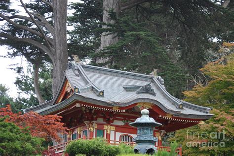 Oriental garden #1 Photograph by George Mount