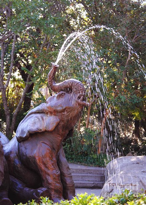 Baby Elephant Fountain Photograph by DiDi Higginbotham - Fine Art America