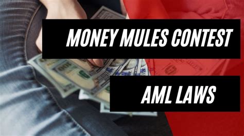 How Money Mules Contest Anti-Money Laundering Laws