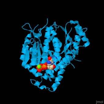 Tubulin - Proteopedia, life in 3D