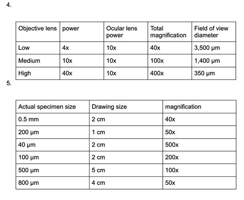 Calculating Field Of View Microscope Worksheet