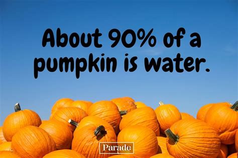 25 Fun Facts About Pumpkins - Parade