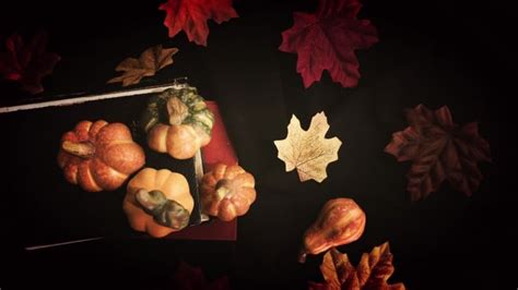 Get this Professional Fall Leaves and Pumpkins Desktop Wallpaper ...