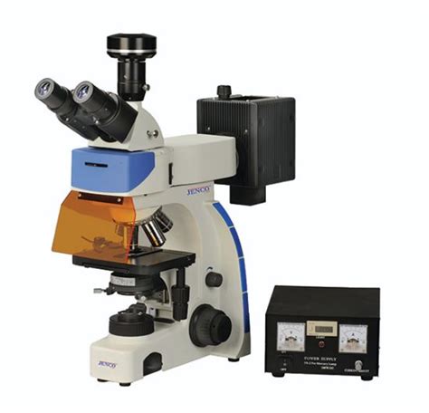 Fluorescence Microscope