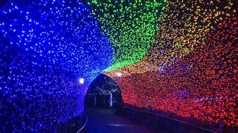 Cincinnati Zoo's lights voted best in nation for second year in a row