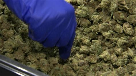 Cannabis Illinois: Pritzker opens door to possibility of cannabis delivery while touring 1st ...