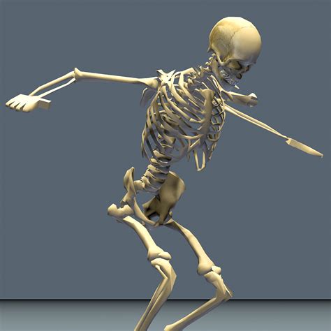 human skeleton 24 animations 3d 3ds