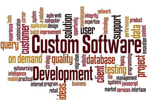 Why Custom Software Development Is The Best Approach For Businesses? - EXEIdeas – Let's Your ...