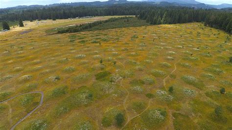 Mima Mounds, Washington State | DCIM\100MEDIA\MAX_0109.JPG | Flickr