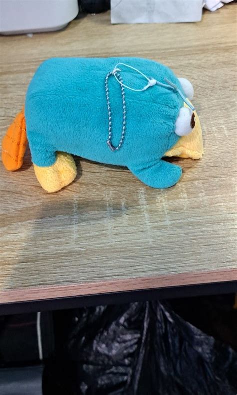 Perry the Platypus doll, Hobbies & Toys, Toys & Games on Carousell