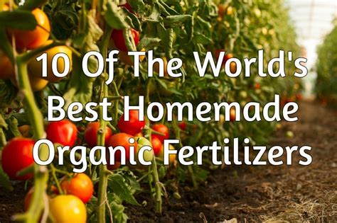 10 Of The World's Best Homemade Organic Fertilizers