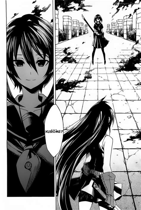 Akame Ga Kill - Akame and Kurome | Akame ga kill, Akame ga, Manga to read