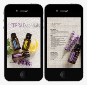 Doterra Logo Png - Graphic Design, Transparent Png , Transparent Png ...