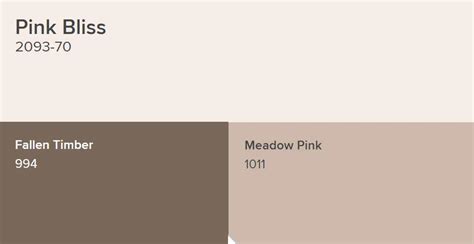 Benjamin Moore Pink Bliss Paint Color Schemes - Interiors By Color