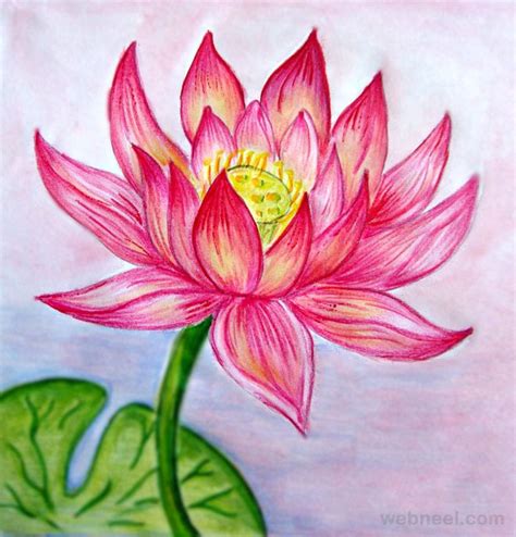 45 Beautiful Flower Drawings and Realistic Color Pencil Drawings | drawings | Pencil drawings of ...