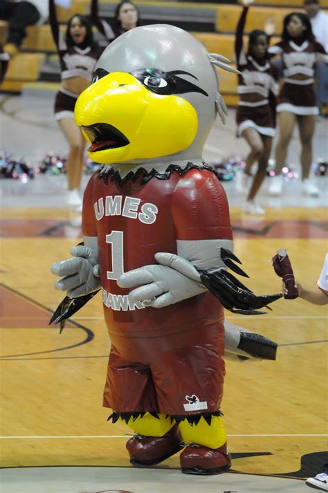 MEAC/SWAC SPORTS MAIN STREET™: UMES Hawks Basketball Releases 2010-11 ...