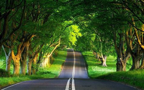 Scenic Roads Wallpapers - Top Free Scenic Roads Backgrounds ...