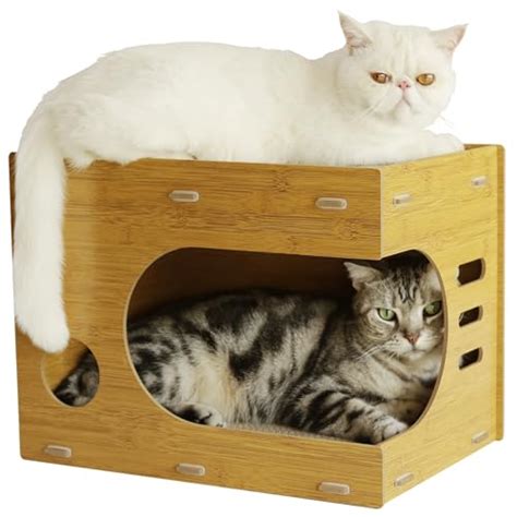 Cat Scratcher House – The 15 best products compared - Wild Explained