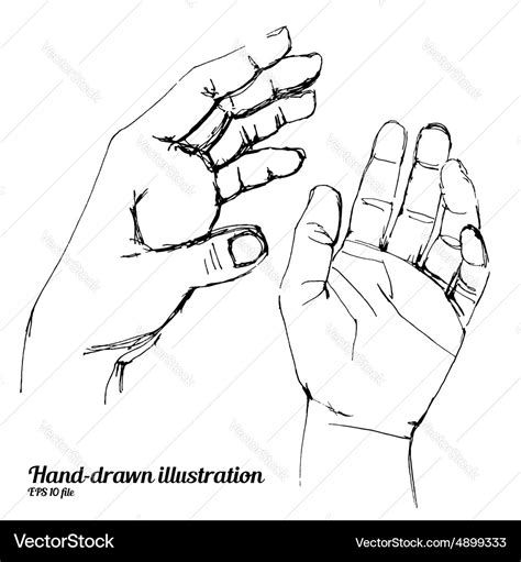 Human hands sketch Royalty Free Vector Image - VectorStock