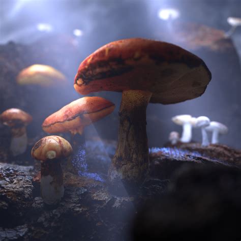 ArtStation - Mushroom Cave