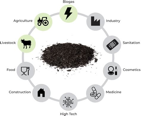 Biochar – The European Biochar Industry Consortium