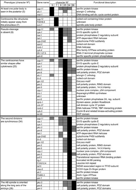 Sets of C. elegans genes which, when compromised by RNAi, result in ...