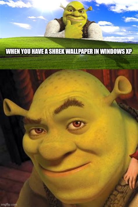 112+ Wallpaper Meme Shrek Pictures - MyWeb